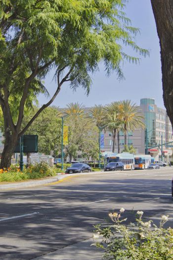 a street with cars and trees