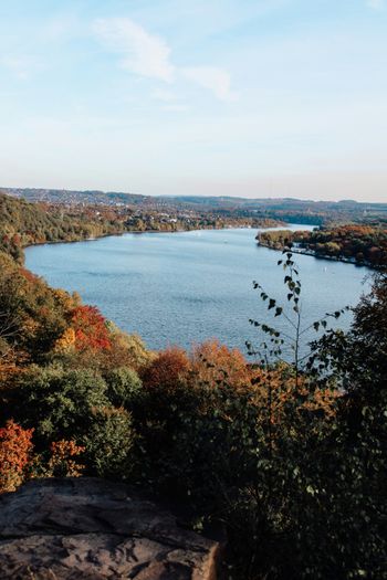 a body of water surrounded by trees