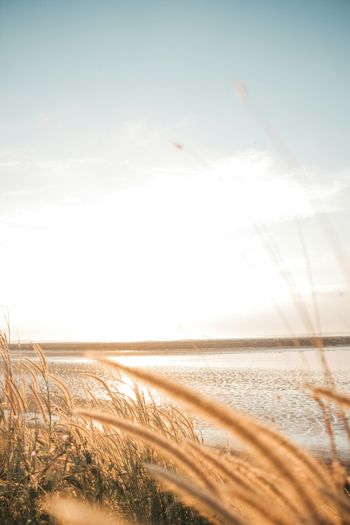 the sun is shining over a body of water