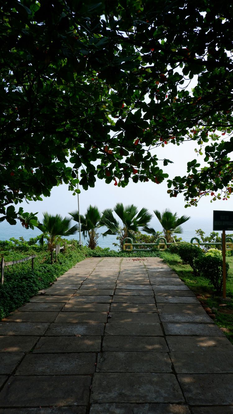 A walkway leading to a lush green field