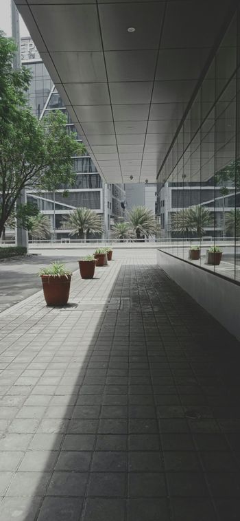 a row of potted plants sitting on the side of a building