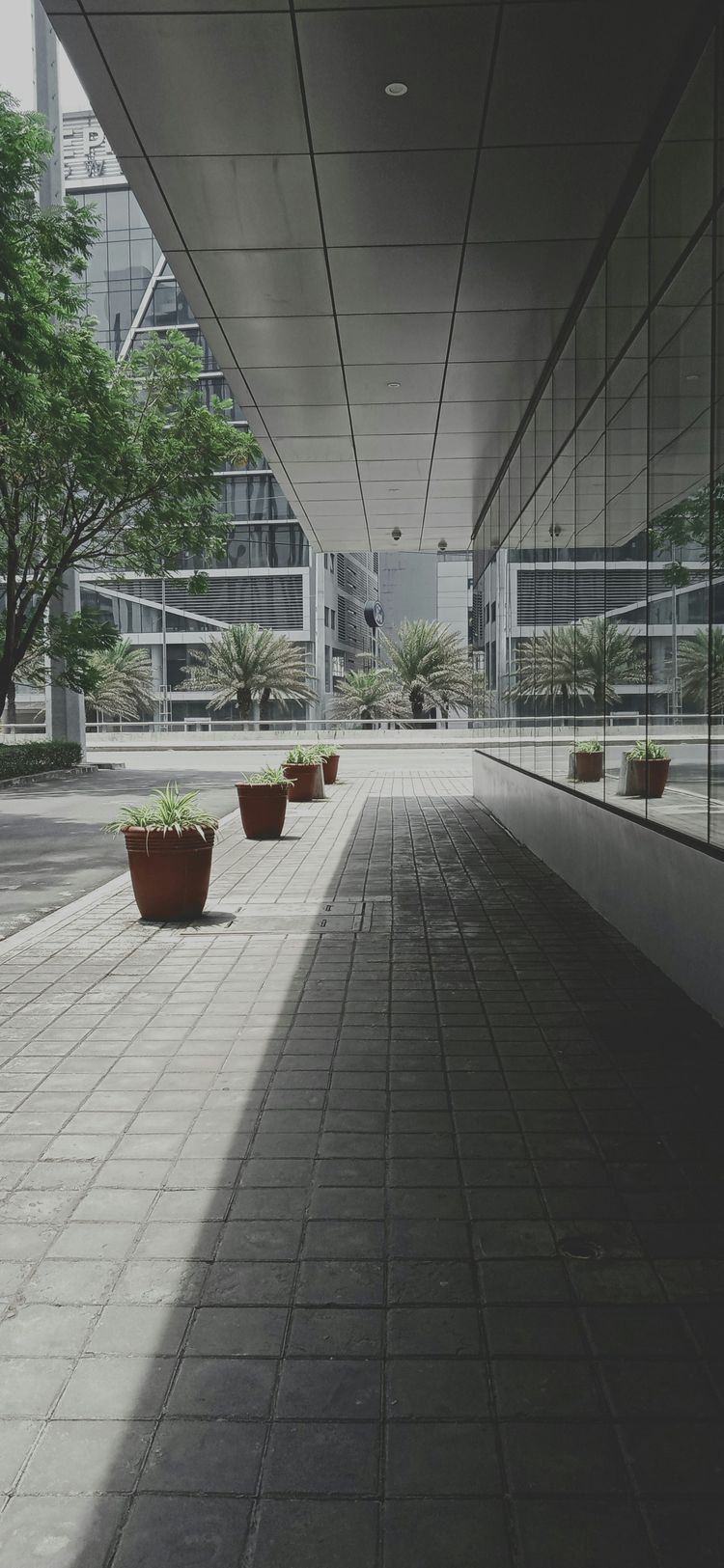 a row of potted plants sitting on the side of a building