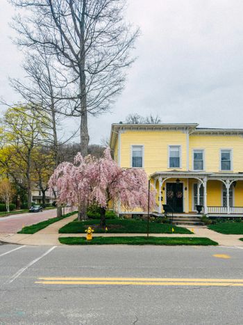a yellow house with a tree in front of it