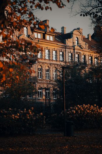 a large building with many windows