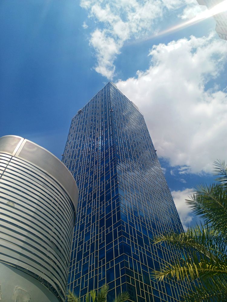 A very tall building sitting next to a palm tree