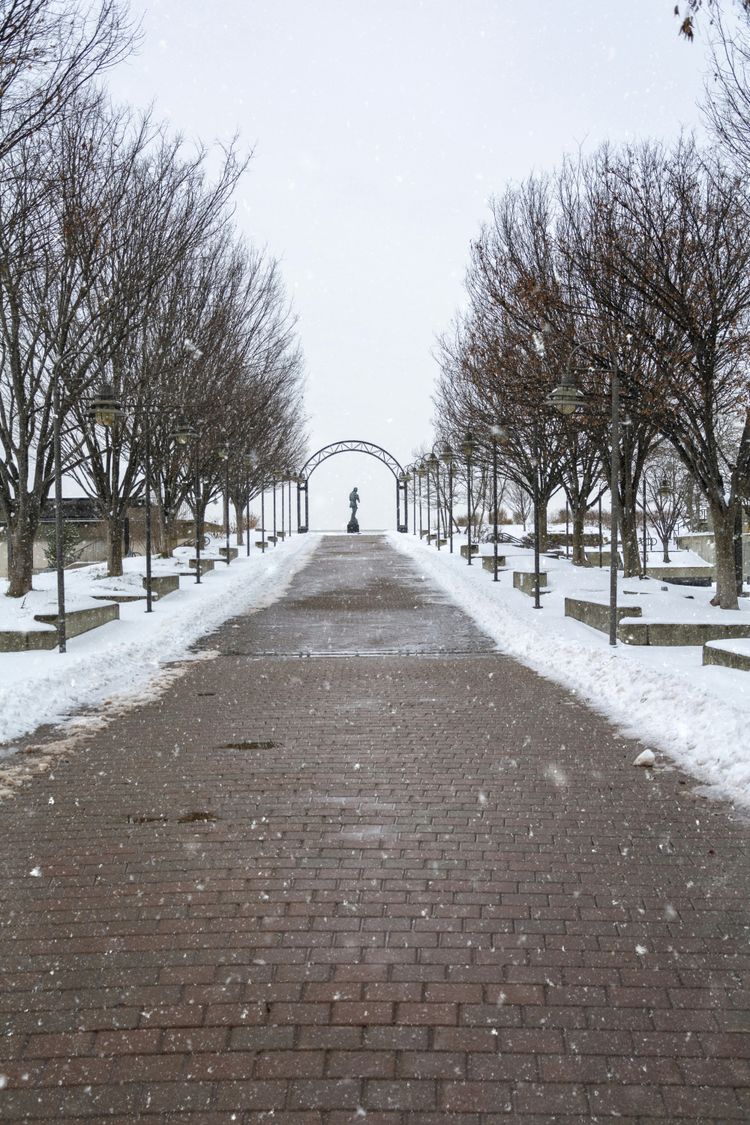 brown concrete pathway between bare trees during daytime