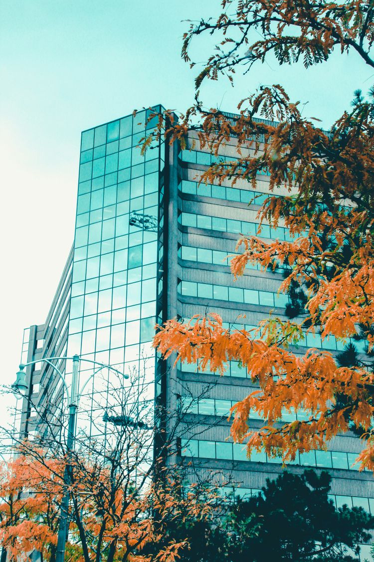 a tall glass building