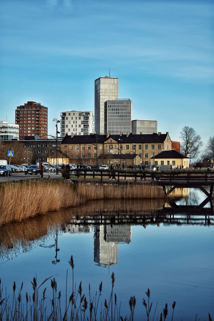 A body of water with buildings in the background