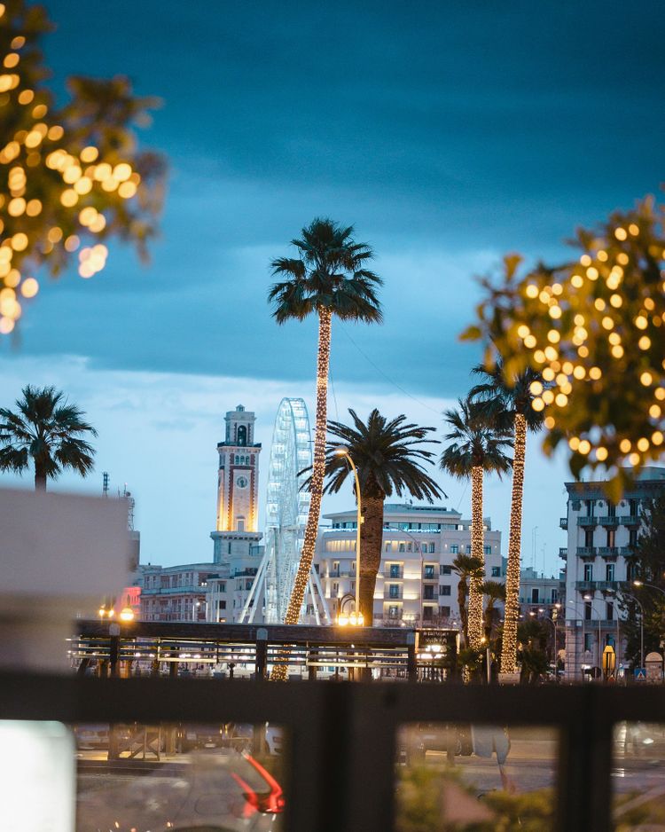 a view of a ferris wheel and palm trees