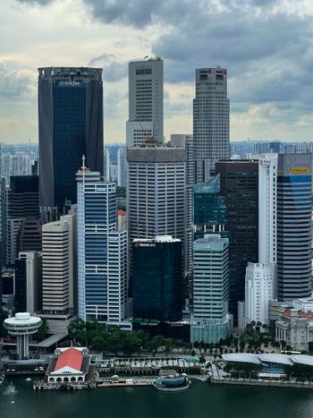 A view of a large city with tall buildings