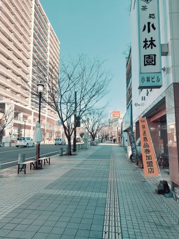 a city street lined with tall buildings and trees