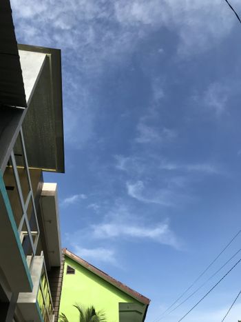 a green building with a palm tree in front of it