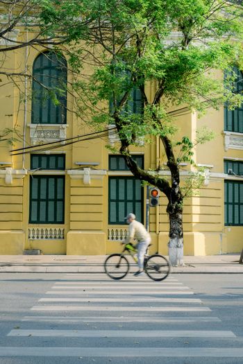 a man riding a bike down a street next to a tree