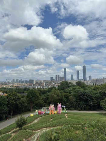 A view of a city from a hill