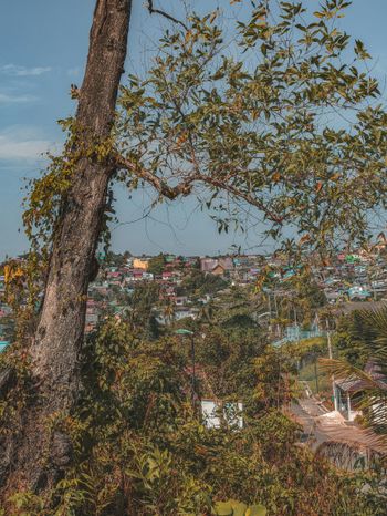 a view of a city from a hill