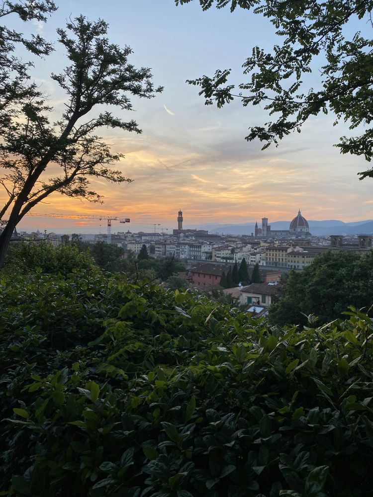 a view of a city from the top of a hill