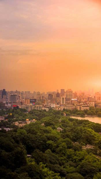 green trees and city buildings during sunset