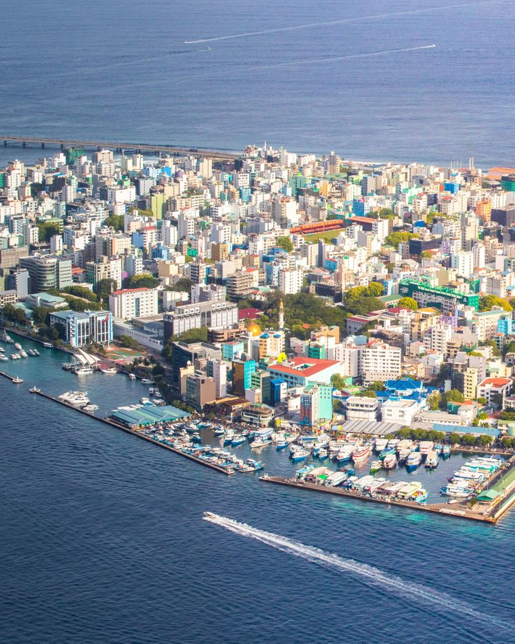 aerial photo of city beside sea