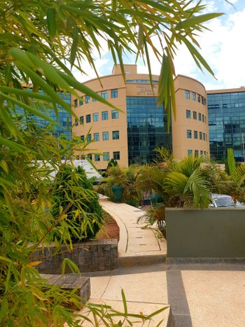 a building with a lot of windows and plants in front of it