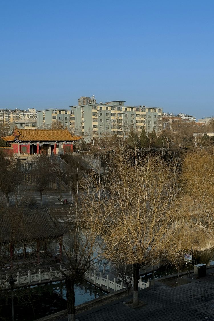 a view of a city with buildings and trees in the foreground