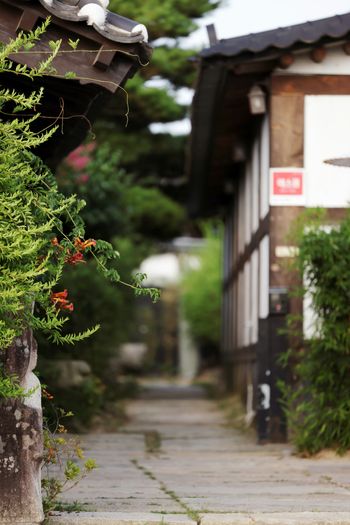 A cat sitting on top of a wooden pole next to a building