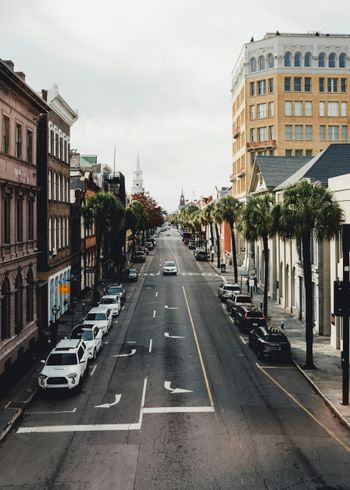 a city street lined with tall buildings and palm trees