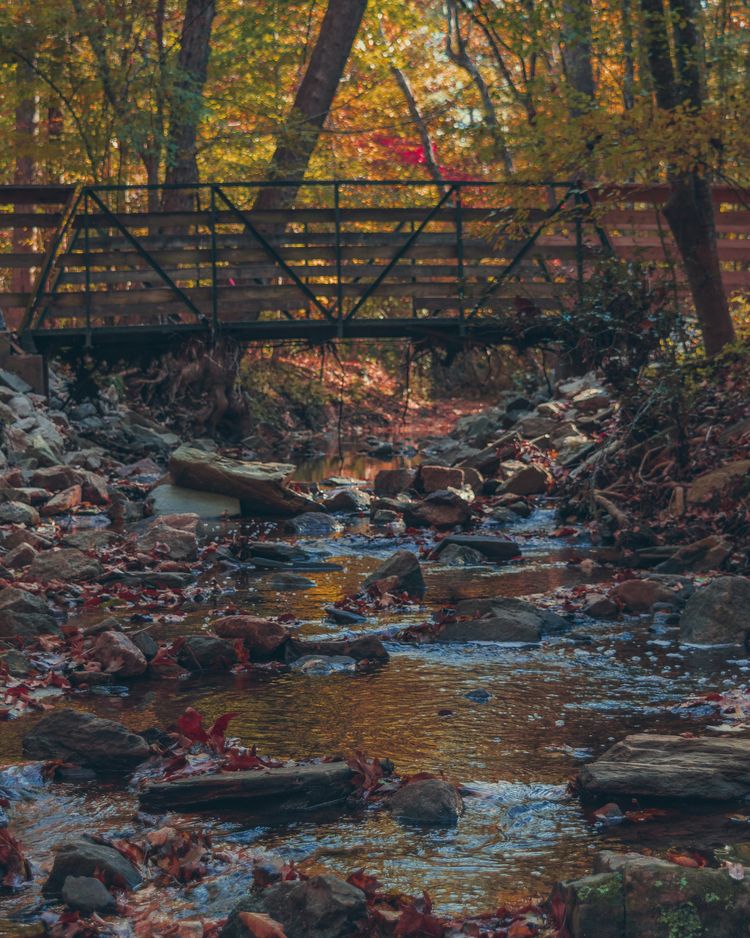 brown wooden bridge over river