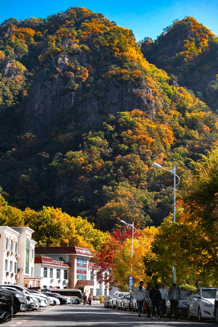 a city street with a mountain in the background