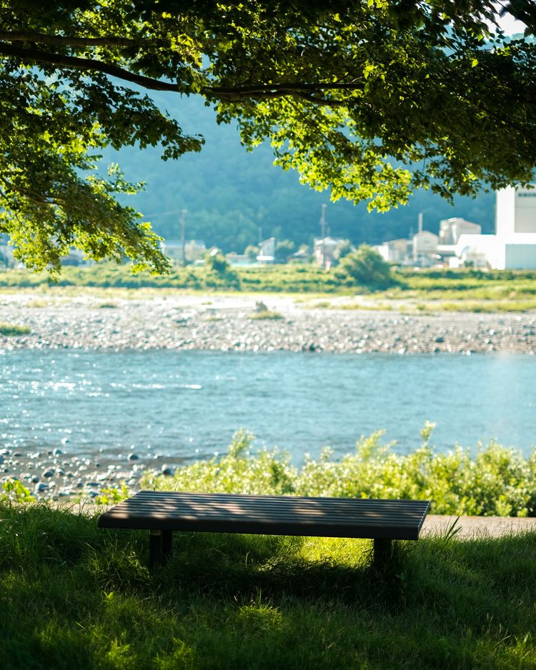 a bench overlooking a body of water