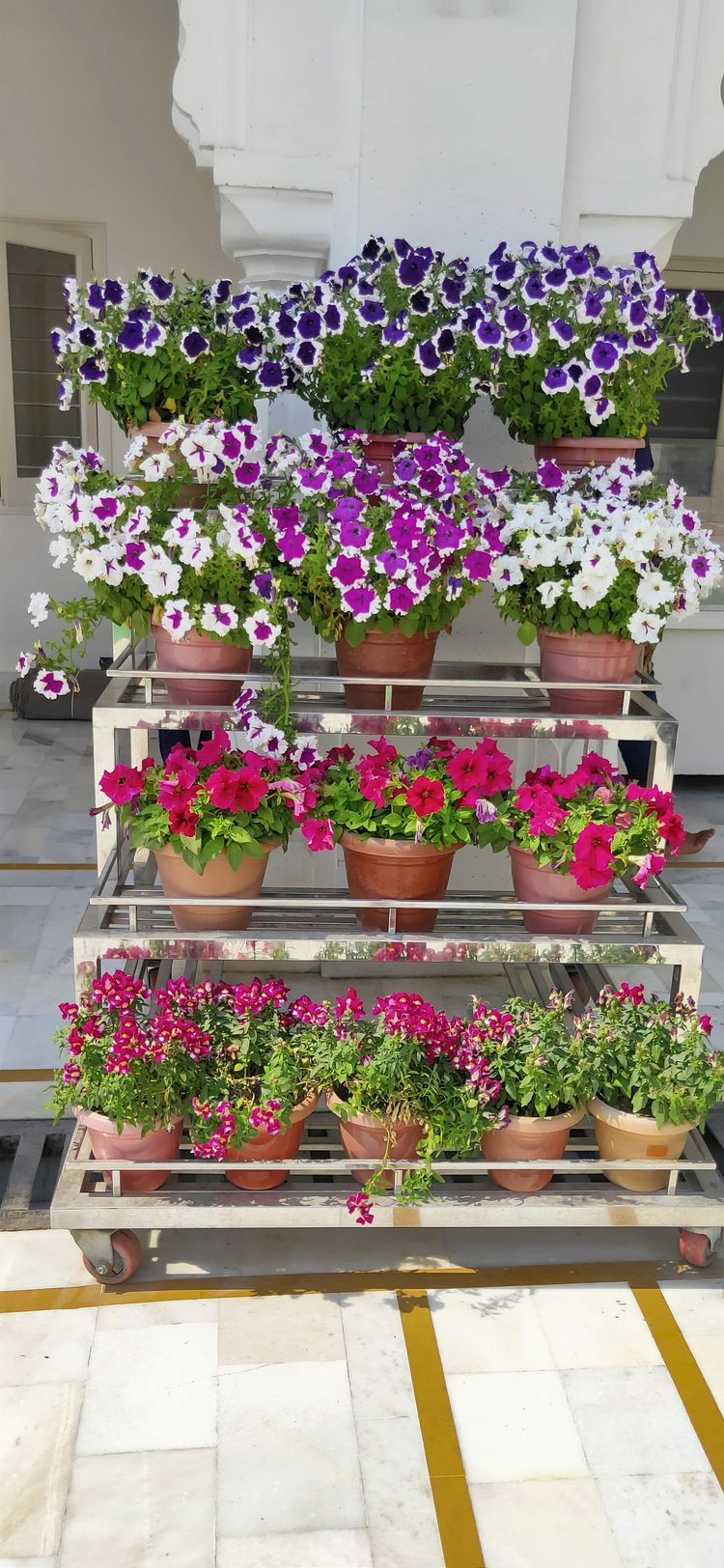 a bunch of flowers that are sitting on a shelf