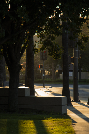 A man walking down a sidewalk next to trees