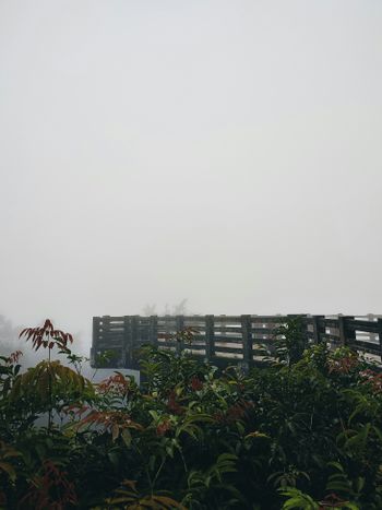 a foggy day with a wooden fence in the foreground