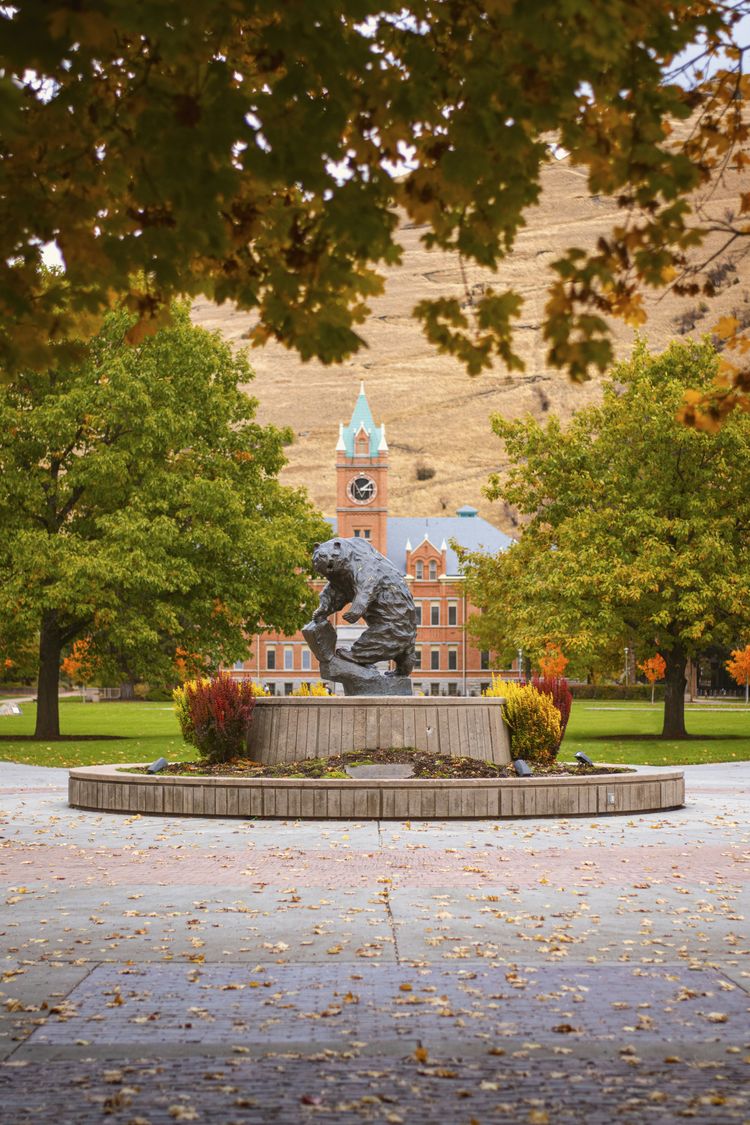 a statue of a horse in a park with a clock tower in the background