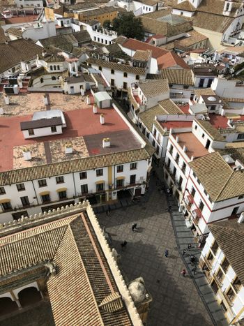 white and red houses at daytime