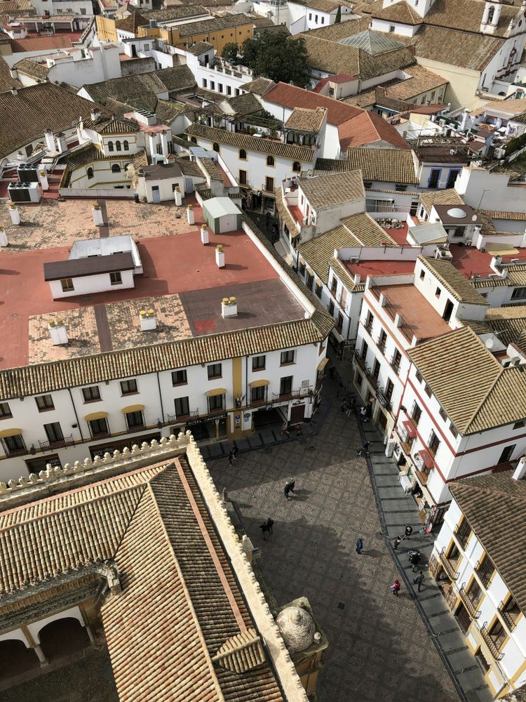 white and red houses at daytime