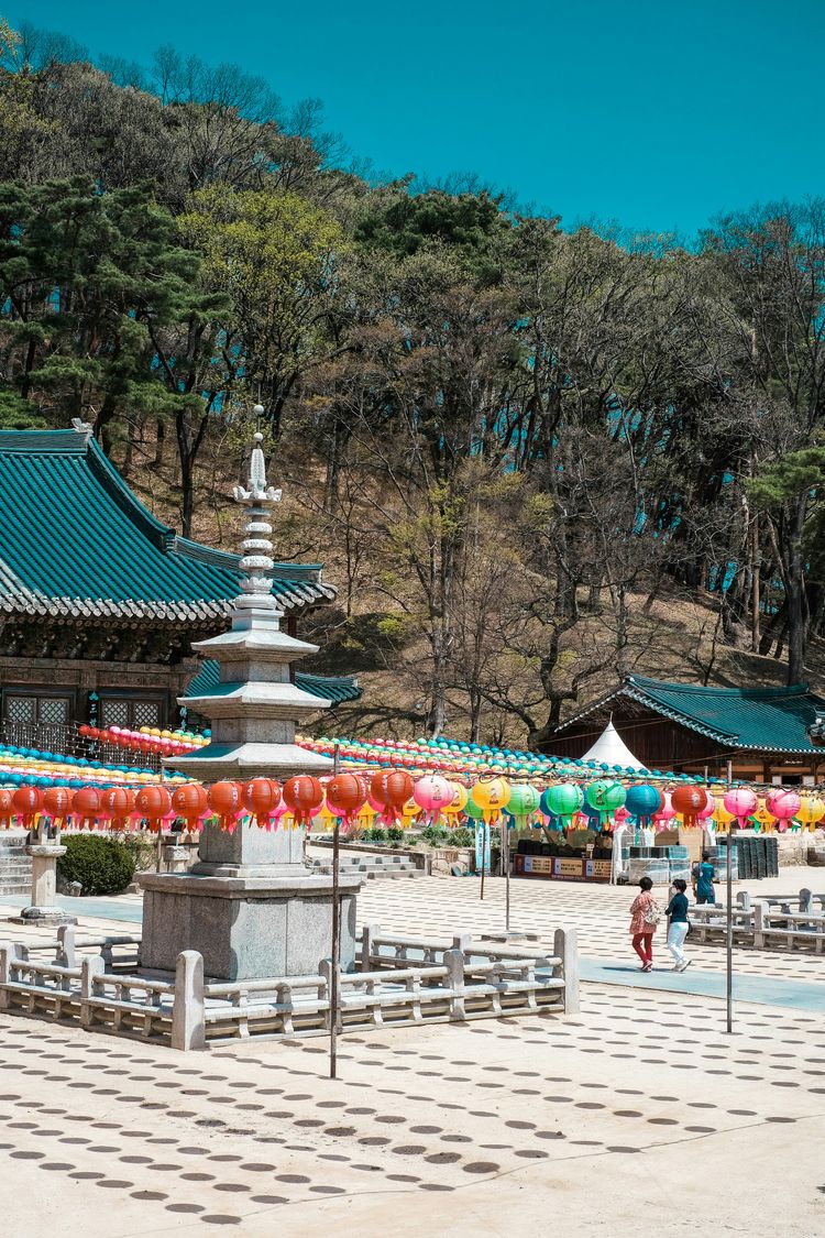 a group of people walking around a park with umbrellas
