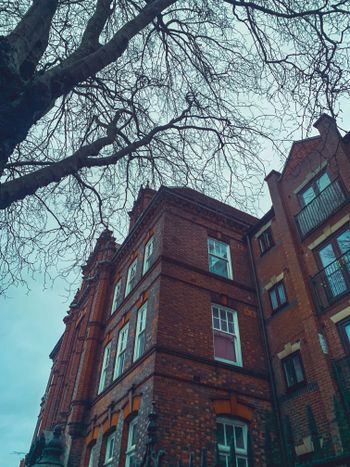 a tall brick building sitting next to a tree